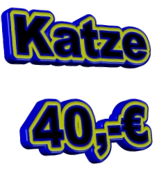 Katze 40,-€